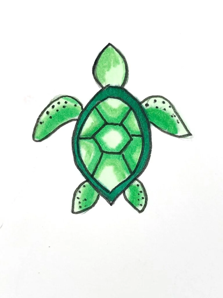 sea turtle drawing