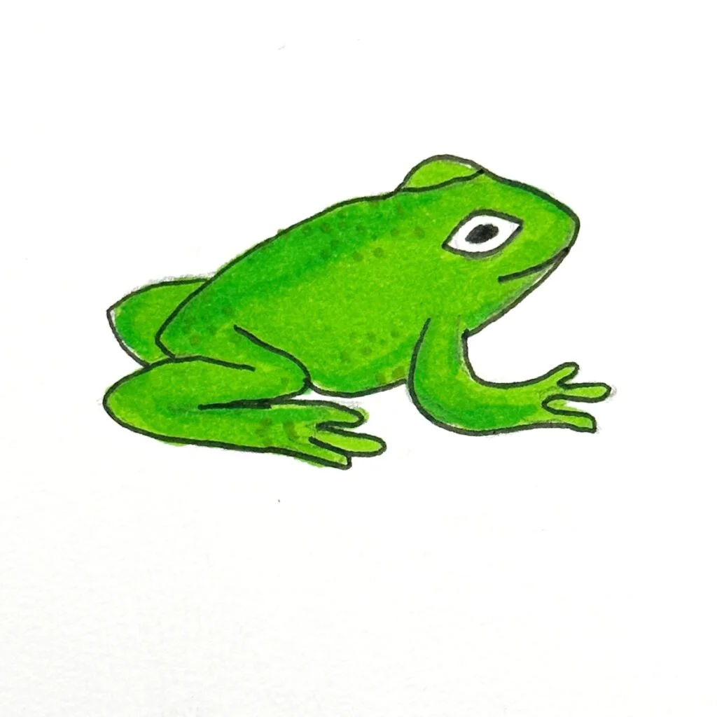 realistic frog drawing