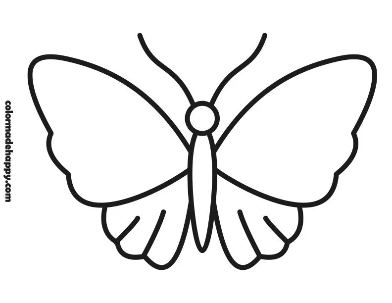 Simple Butterfly Outline