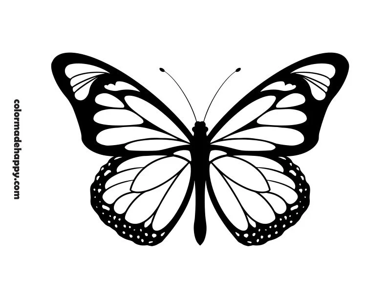 Monarch Butterfly Template