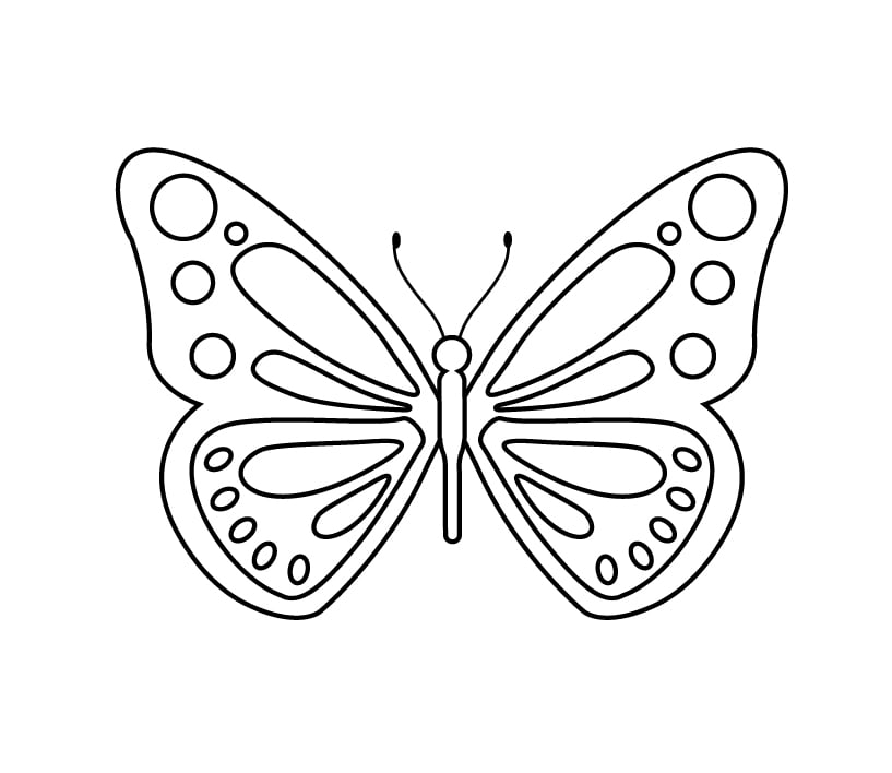 How to draw details on butterfly wings: details are done after adding spots.