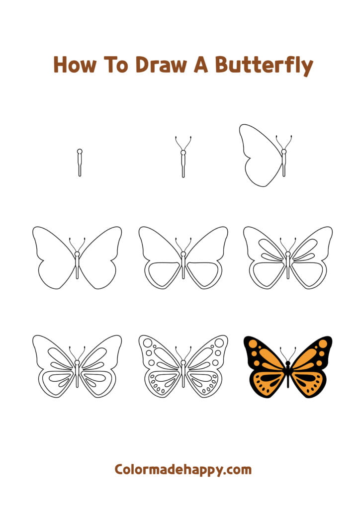 How to Draw a Front Facing Butterfly: Step by Step