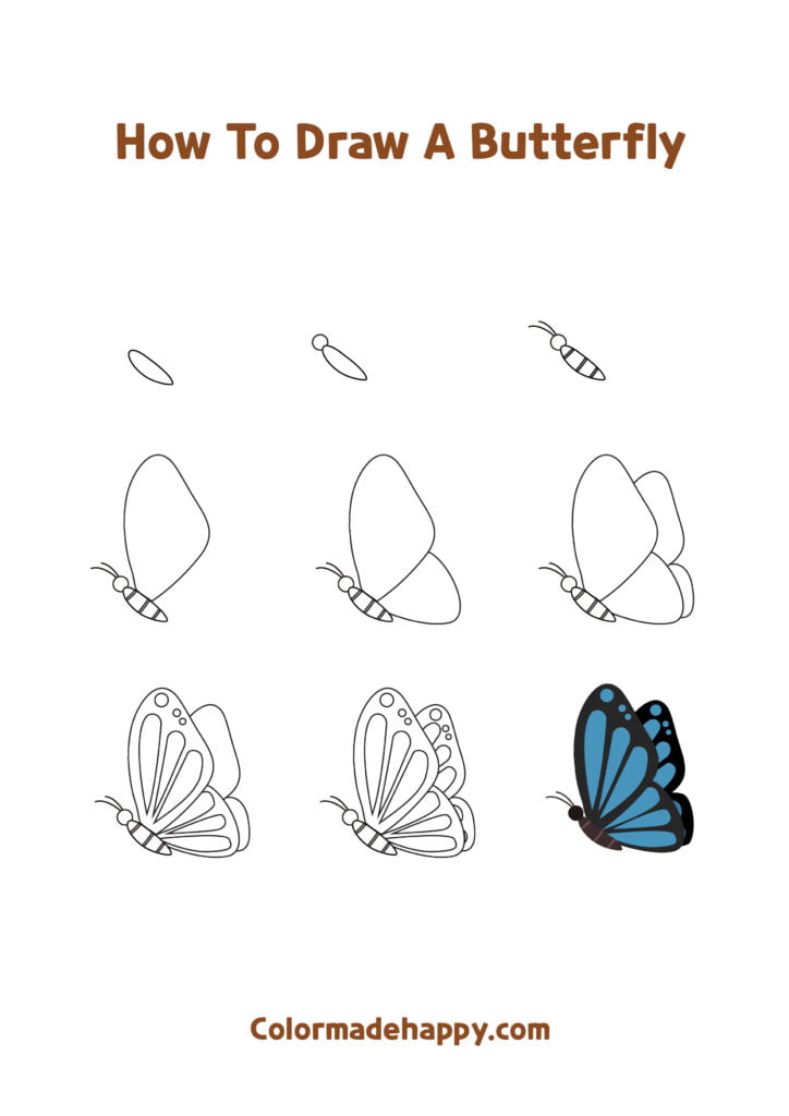 How to Draw a Sideways Butterfly That’s Flying Step by Step Instructions