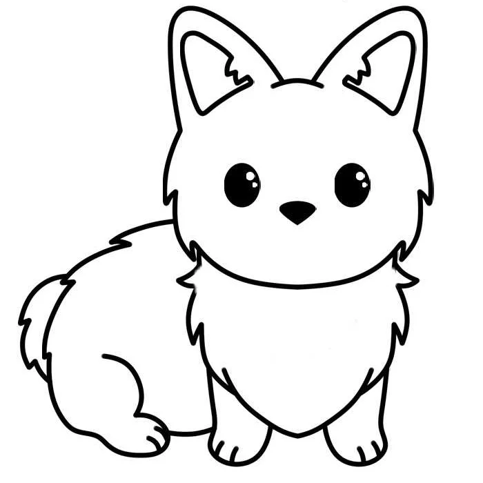 How to draw a dog step 5: the eyes and drawn and the ears have detail added to them