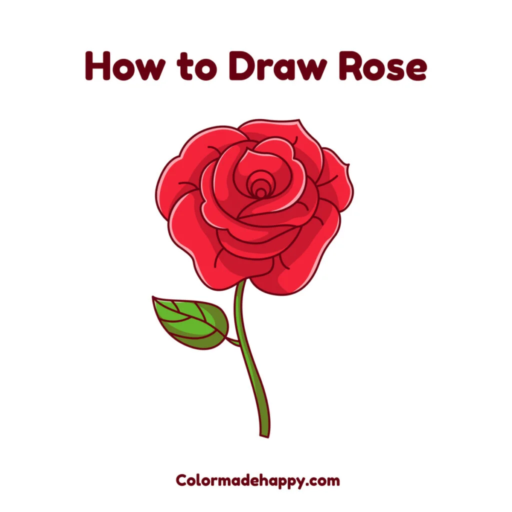 How to Draw a Rose