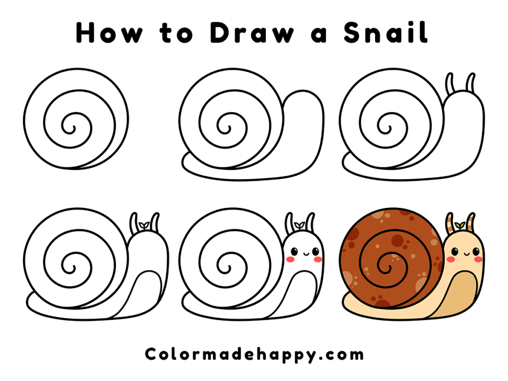 How to draw a snail step by step