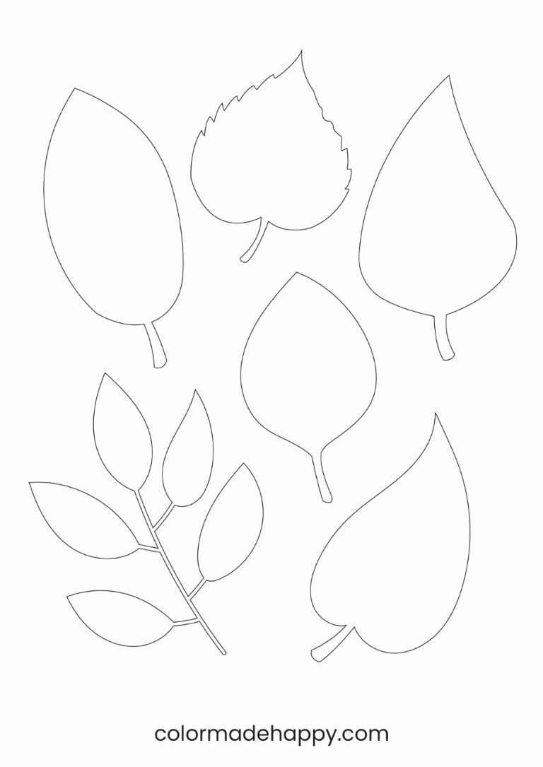 Variety of leaves template