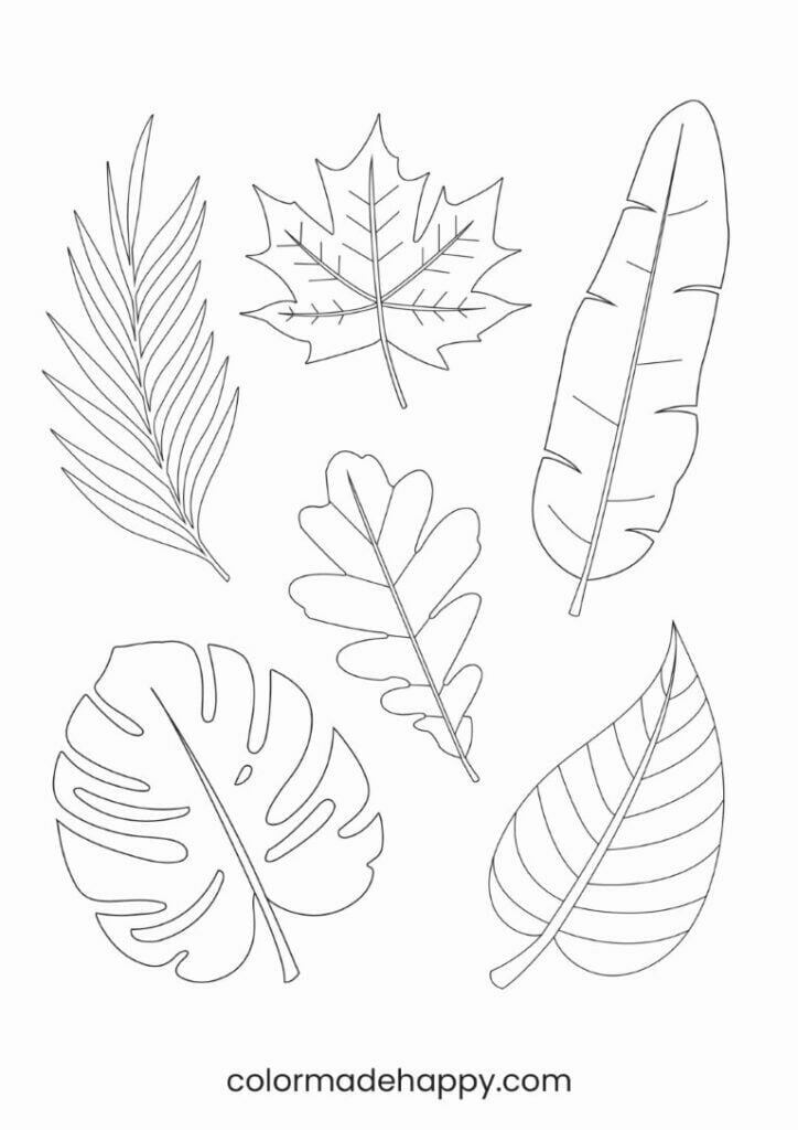 Variety of Leaves Template