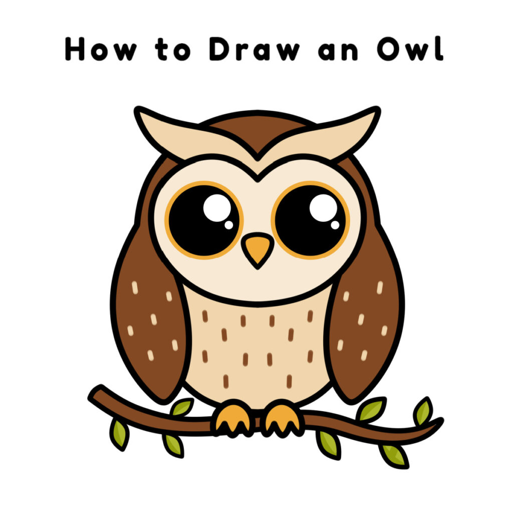 Finished owl drawing with details