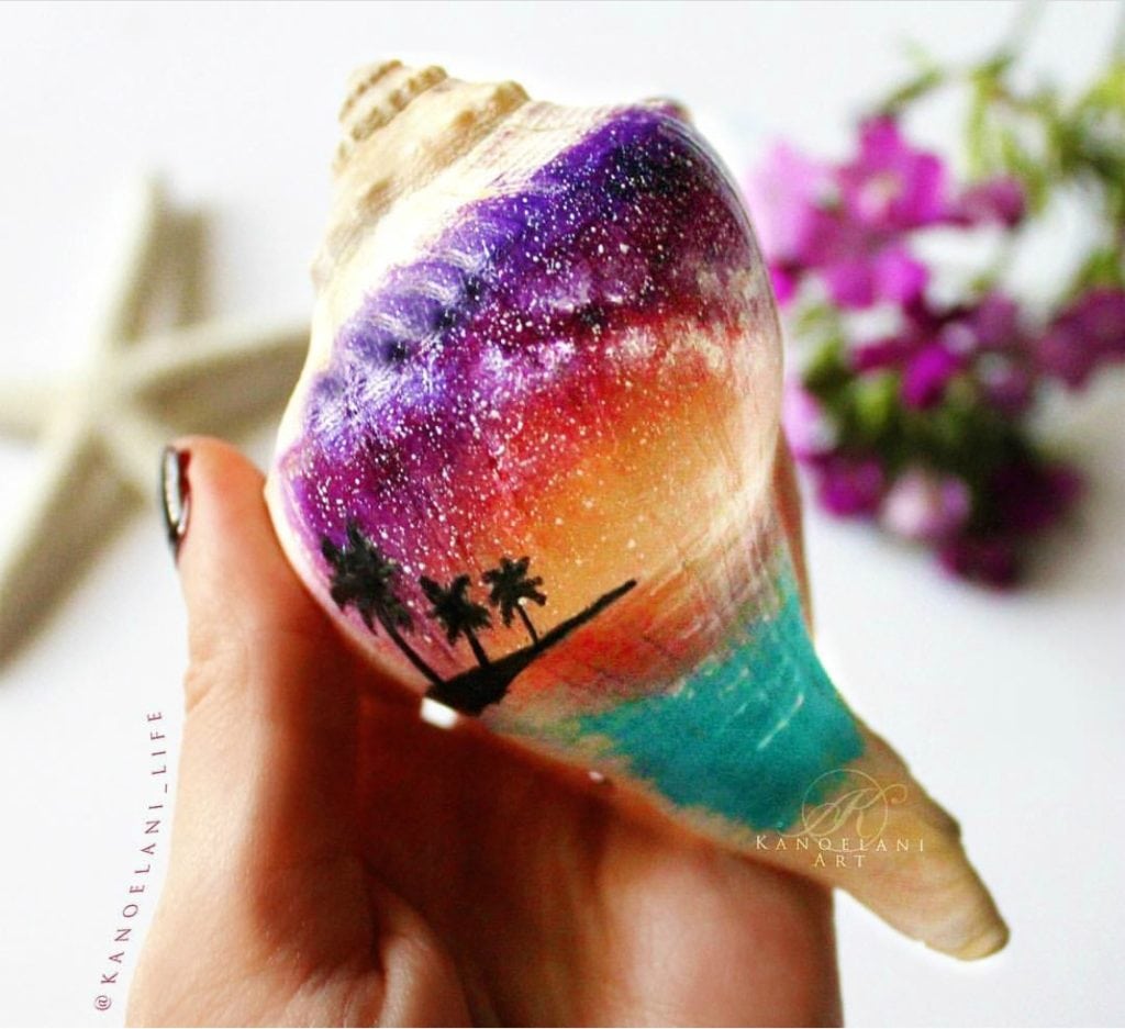 Tropical Painted Sea Shell Art