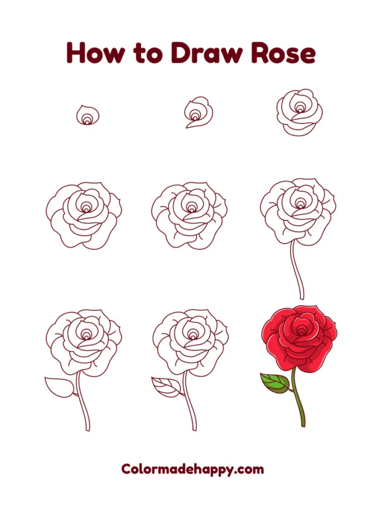 Step-by-step guide to drawing a rose