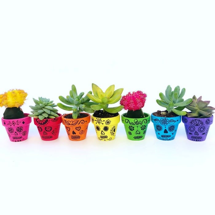 Sugar Skull Craft – Painted Flower Pots