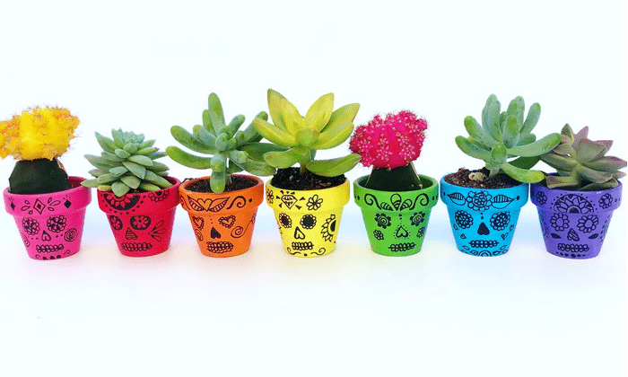 Sugar Skull Painted Flower Pots Craft